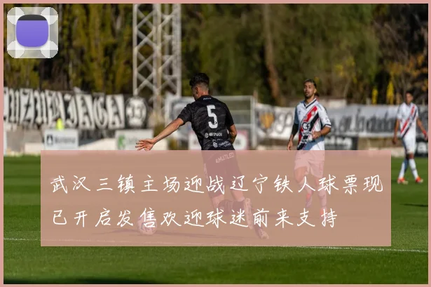 武汉三镇主场迎战辽宁铁人球票现已开启发售欢迎球迷前来支持