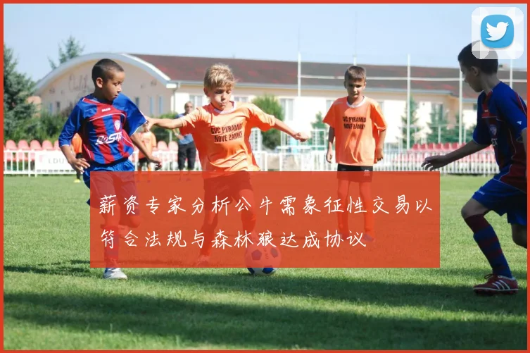 薪资专家分析公牛需象征性交易以符合法规与森林狼达成协议